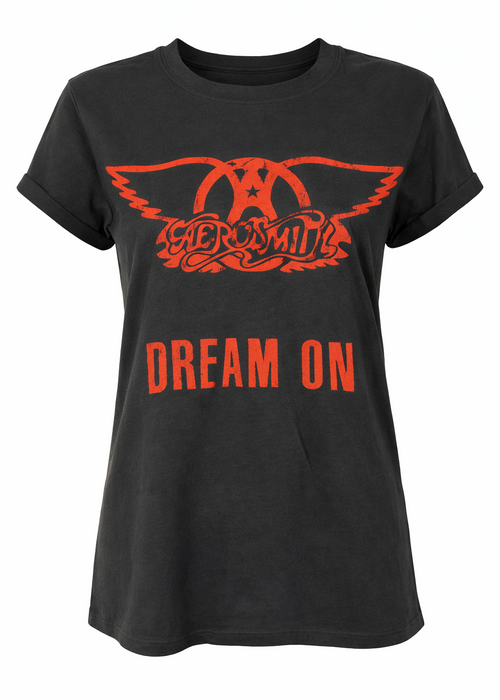 Aerosmith Dream On by Recycled Karma