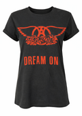 Aerosmith Dream On